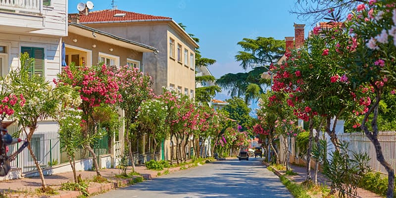 Adalar (Büyükada, Heybeliada)